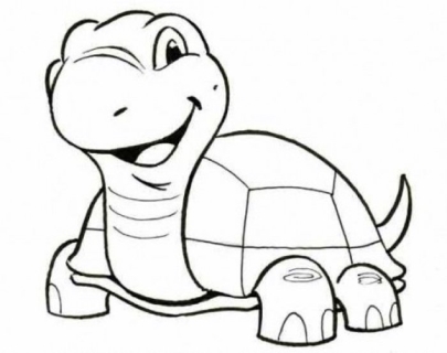 Як намалювати черепаху олівцем. Малюнок черепахи поетапно для дітей